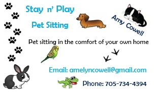 Stay n' Play Pet Sitting