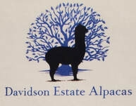 Davidson Estate Alpacas